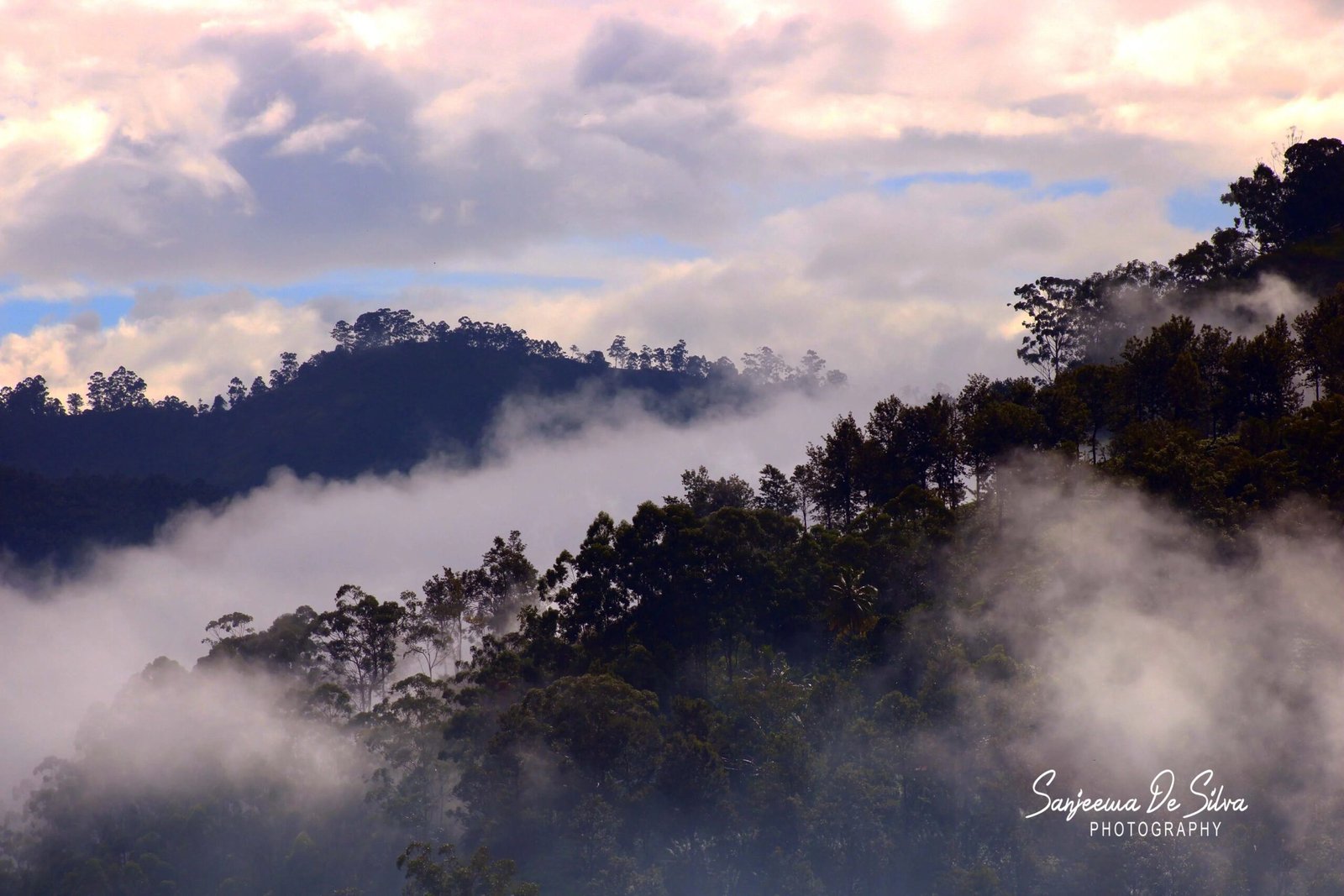 Cloud forest in sri lanka